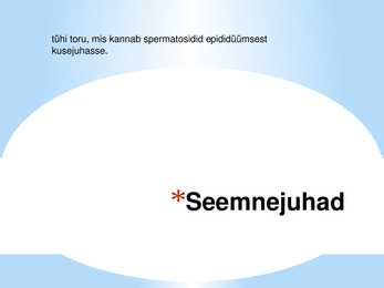Seksuaalaabits #14