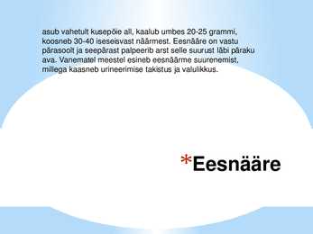 Seksuaalaabits #15