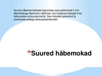 Seksuaalaabits #4