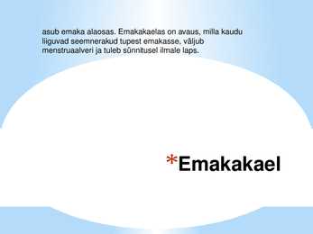 Seksuaalaabits #6