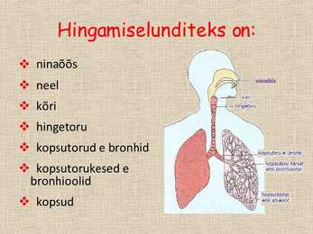 Miks läheb hääl ära #2