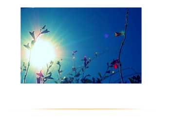 Weather Ilm #11