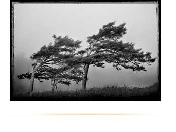 Weather Ilm #13