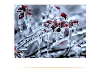 Weather Ilm #7