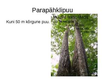 PARAPÄHKLIPUU #5