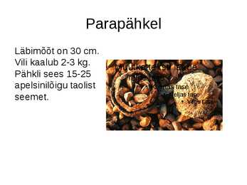 PARAPÄHKLIPUU #6