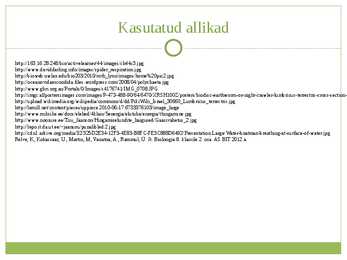 Selgrootute hingamine #11
