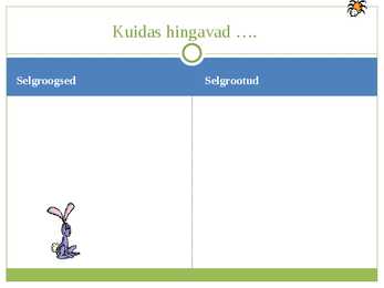 Selgrootute hingamine #5