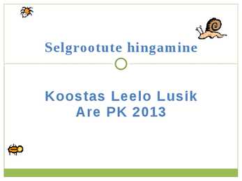 Selgrootute hingamine