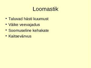 Kõrb #11