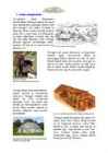 VIIKINGID #3