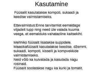 Füüsel #4