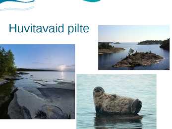 Laadoga järv #9