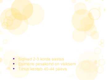 Rahvapärased nimed Haavikuemand-kikk-kõrv #4