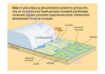 Pinnavormid 2 #3