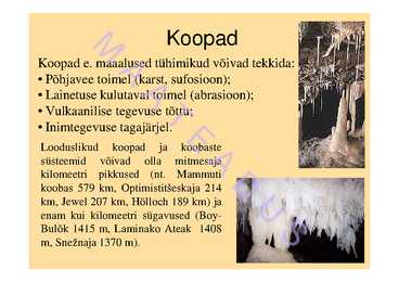 Pinnavormid 2 #22