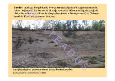 Pinnavormid 2 #7