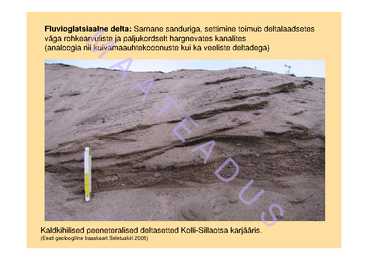 Pinnavormid 2 #8
