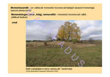 Pinnavormid 2 #9
