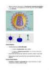 Viirus #2