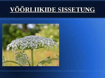 VÕÕRLIIKIDE SISSETUNG