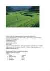 Majandusgeograafia-Jaapan #4
