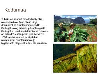 Tubakas #3