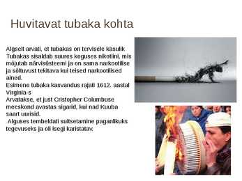 Tubakas #6