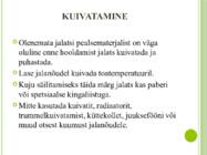 Jalatsite hooldus #15