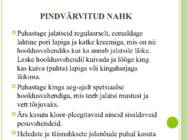 Jalatsite hooldus #4