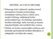Jalatsite hooldus #5