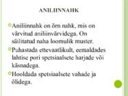 Jalatsite hooldus #6