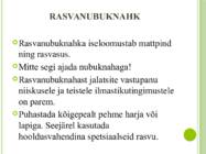 Jalatsite hooldus #8