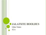 Jalatsite hooldus