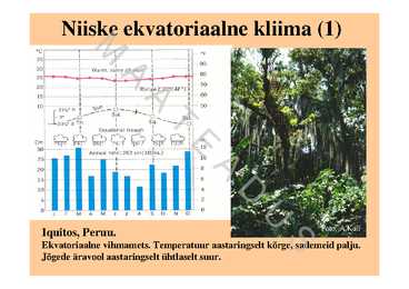 Kliima #14