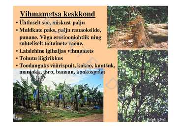 Kliima #15