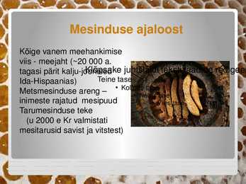 Mesi meie laual #2