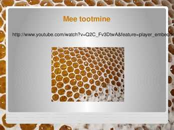 Mesi meie laual #11