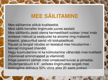 Mesi meie laual #13
