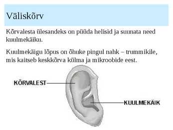 KÕRV ja KUULMINE #3