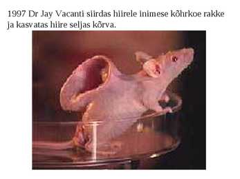 KÕRV ja KUULMINE #5