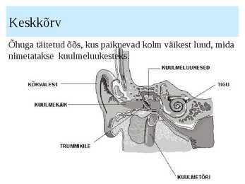 KÕRV ja KUULMINE #6