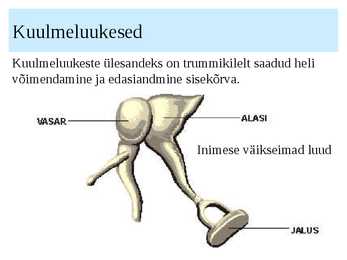 KÕRV ja KUULMINE #7