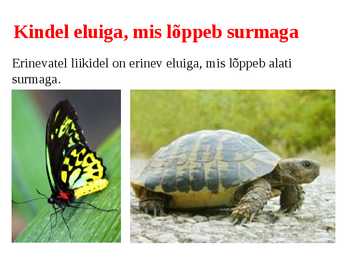 Elu tunnused #16