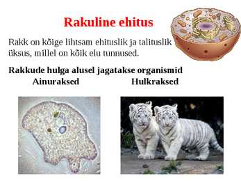 Elu tunnused #5