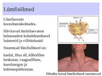 Immuunsus #3