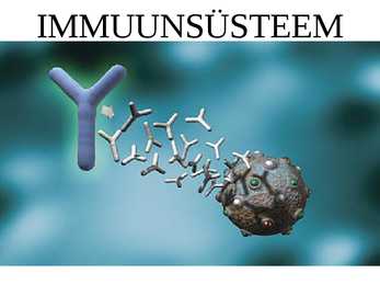 Immuunsus