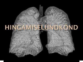Hingamiselundkond