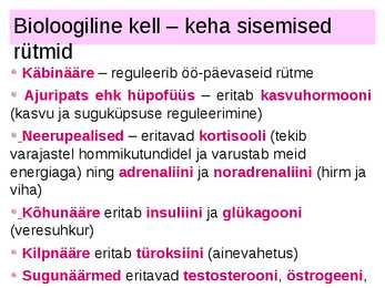 SISENÕRENÄÄRMED e-ENDOKRIINELUNDID #18