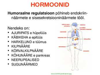 SISENÕRENÄÄRMED e-ENDOKRIINELUNDID #3